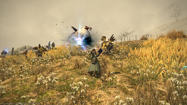 ffxiv_22092013_101032