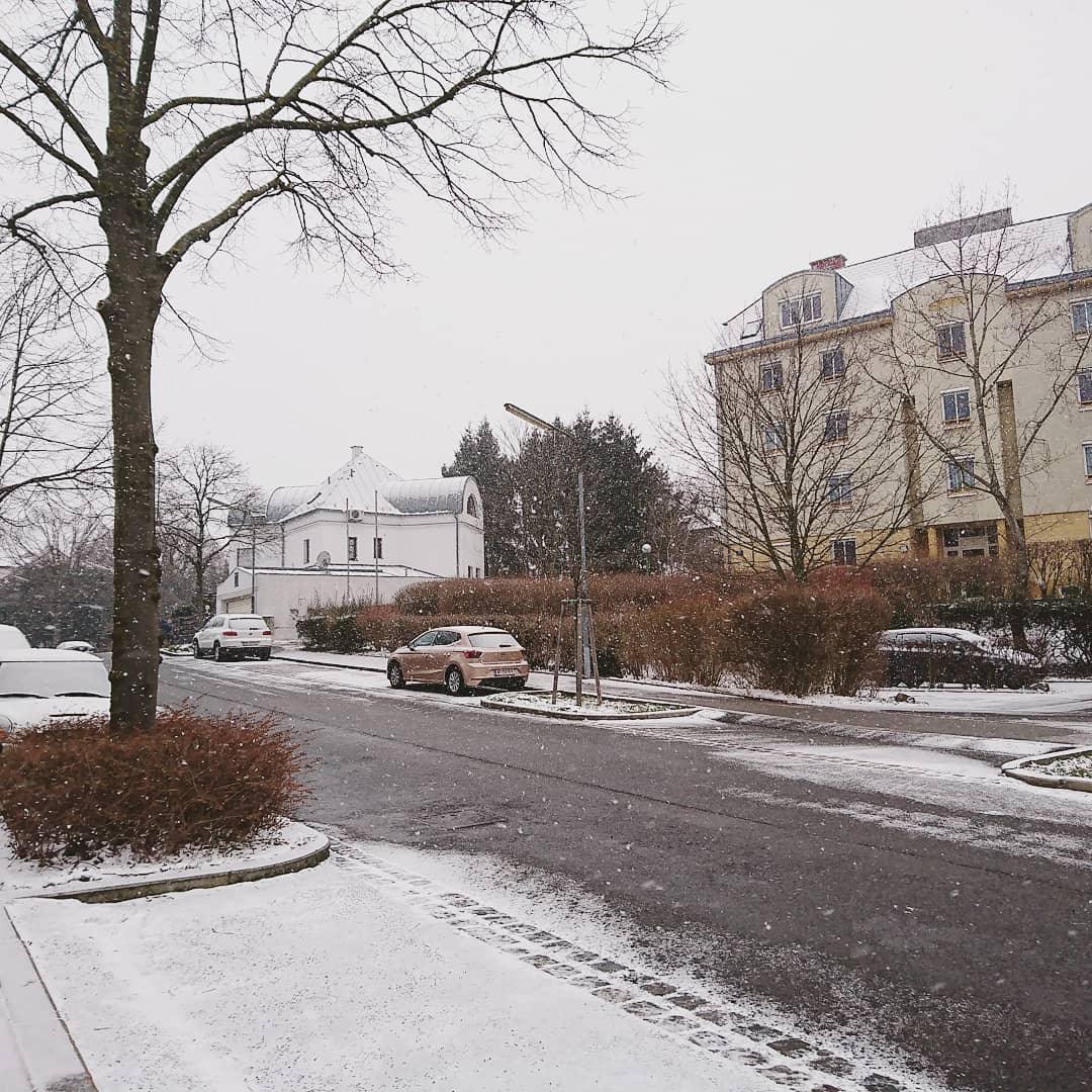 Snow in Vienna